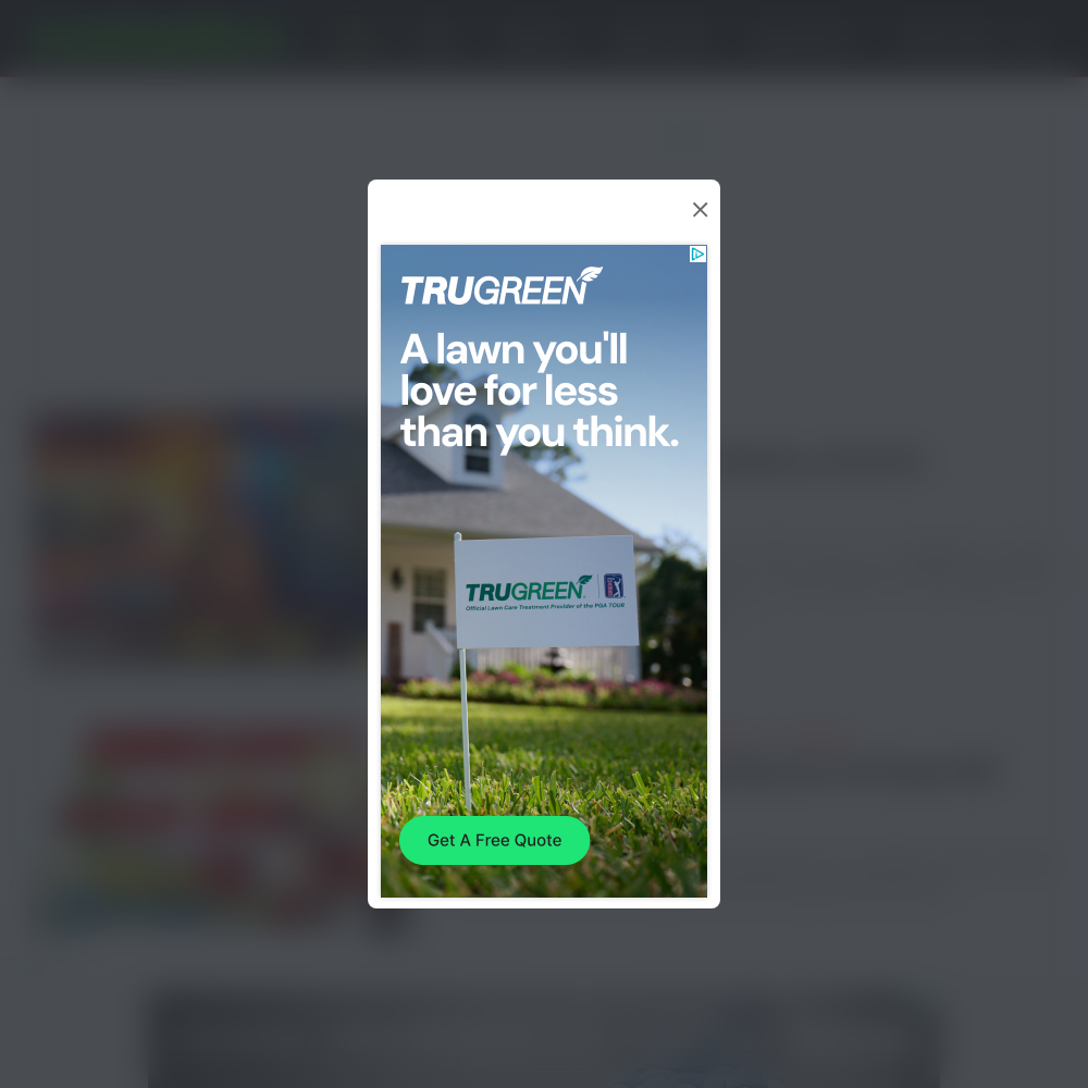 Www AutoRojoBlass Com