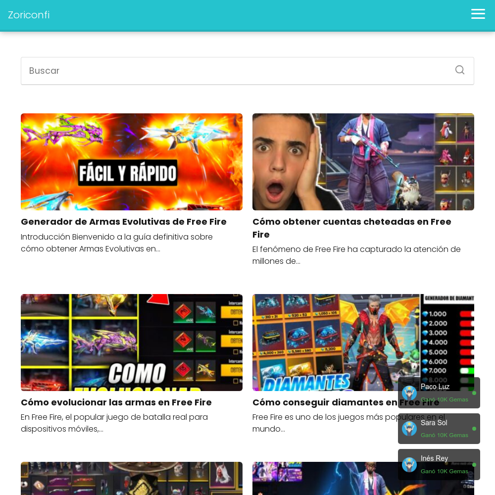 Www Zoriconfi Com